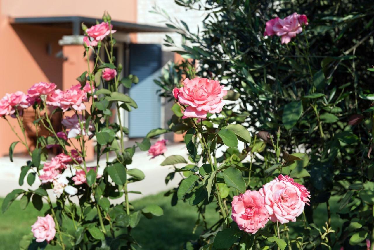 Girasole Villa Limni  Exterior foto